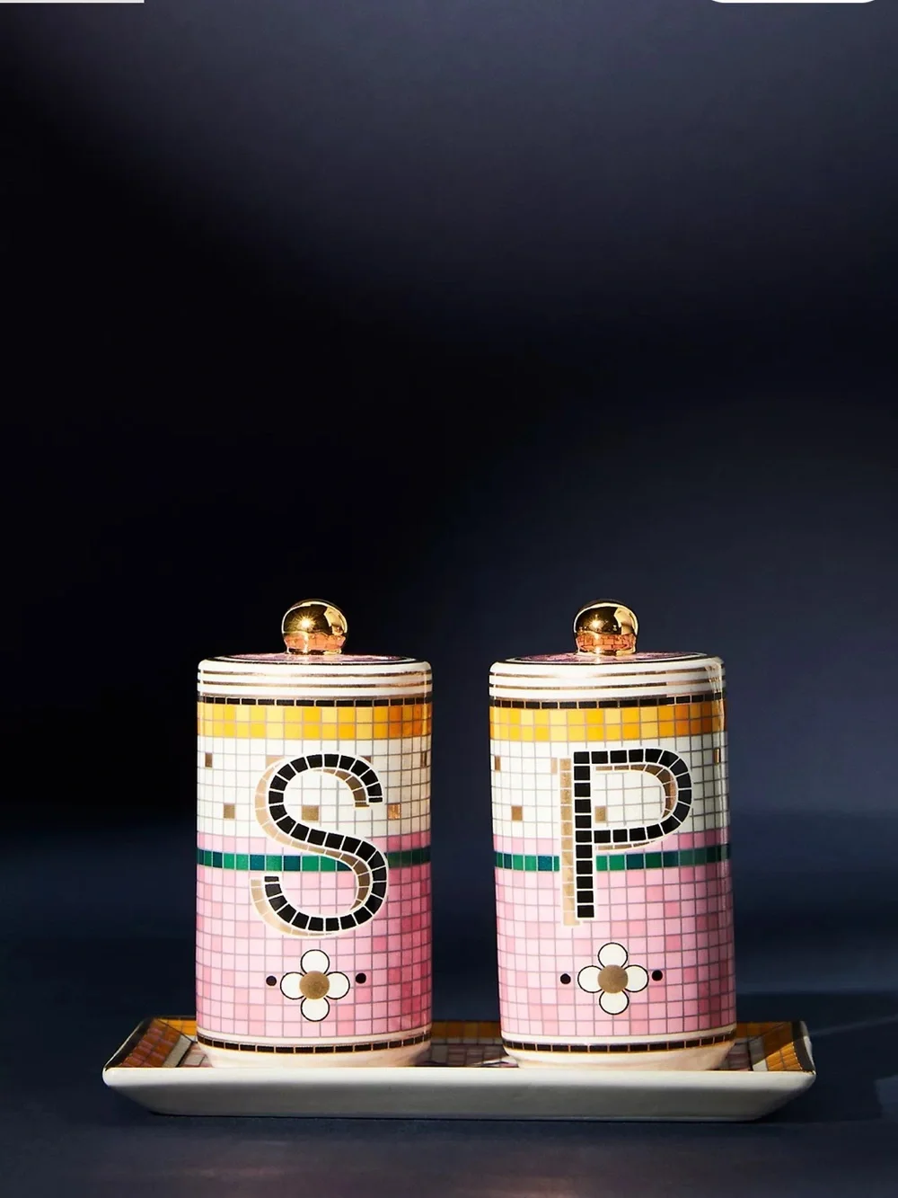 New Anthropologie Bistro Tile Stoneware Salt & Pepper Shakers Garden Edition